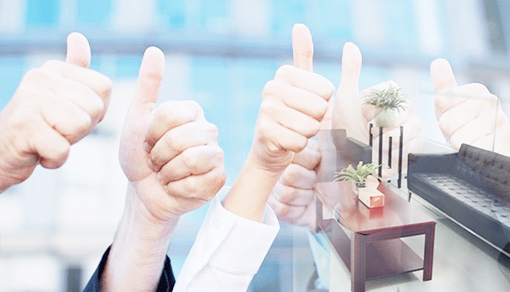 Domestic limited company
